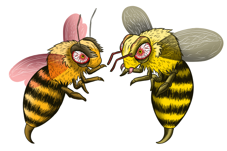 All bees think they are it (albeit) though only one can be the best