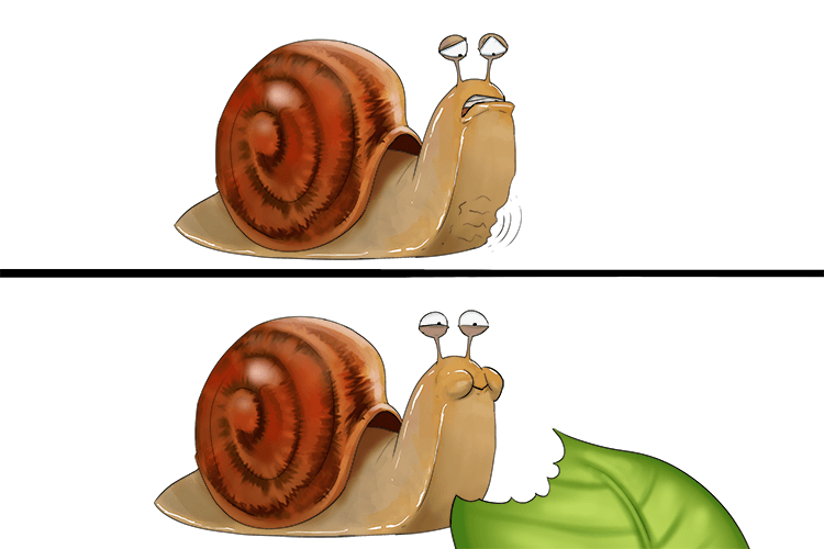 A leaf he ate (alleviate) helped relieve his hunger pains