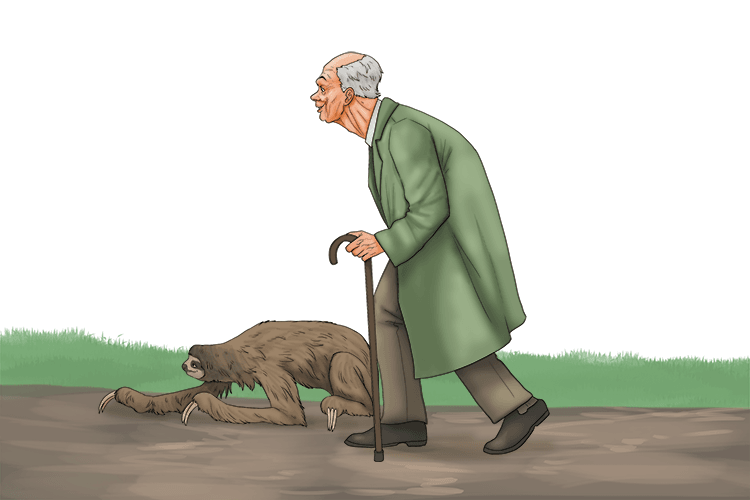 I ramble (amble) at a slow, relaxed pace.