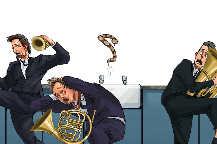 The brass band ran when the copperhead snake came out of the sink (zinc)