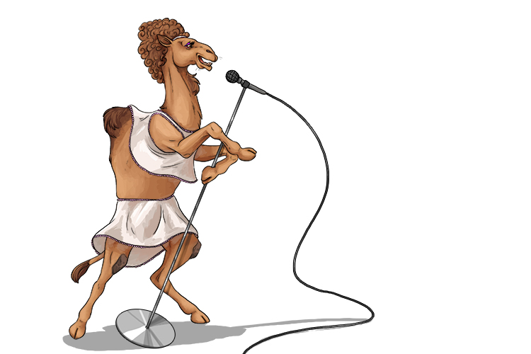 The camel is a sole singer (camisole) and she is famous for always wearing loose-fitting undergarments.