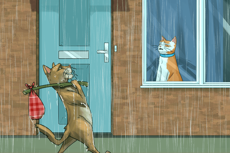 This stray cat was unusual (casual). It was relaxed and unconcerned despite not having regular or permanent place to stay