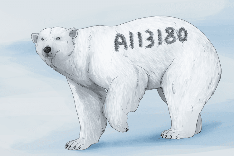 On the side of the bear's furry (cipher) body was a secret code.