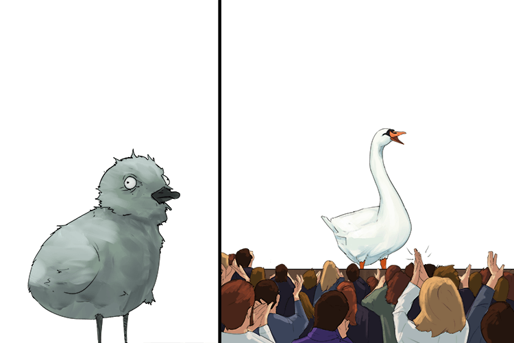 I've decided she is now beautiful (debut) enough to appear for the first time in public