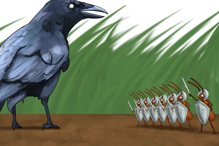 The fighting ants (defiance) showed open resistance to an opposing force