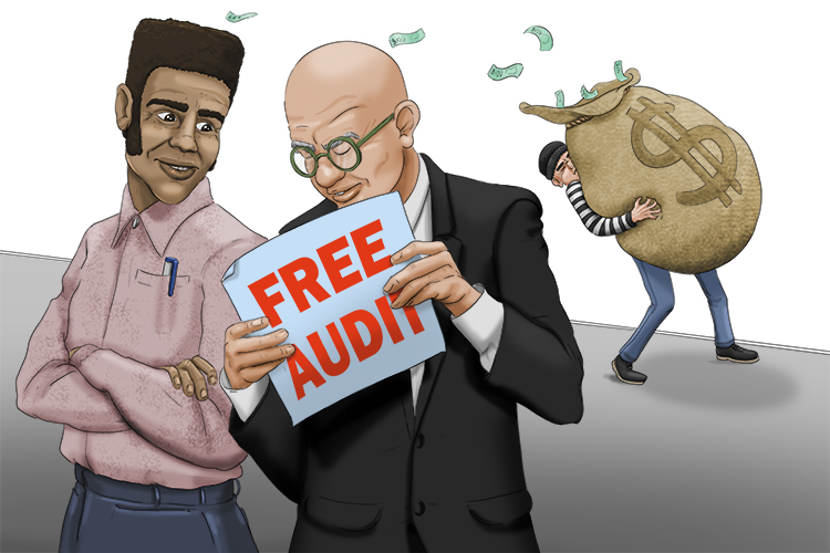 The free audit (defraud) was just a deception to steal money.