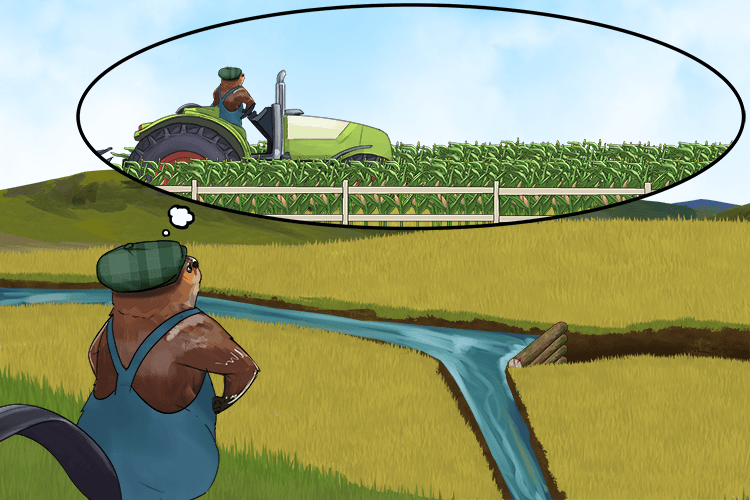 To divert the water was her mission (diversion). If she could cause the water to turn in a different direction, she could stop worrying and divert her mind to harvesting the crops