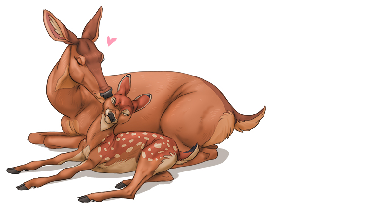This doe devotes (dote) herself to giving lots of love and attention to her fawn.