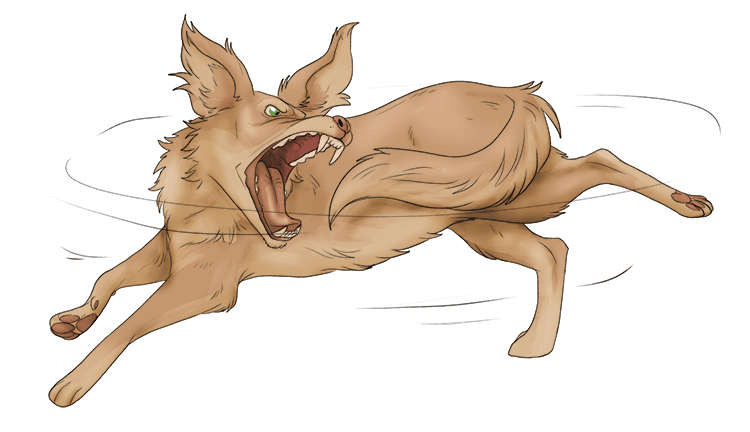 Chasing the end of her tail (entail) involved the dog running around and around in a circle by necessity.