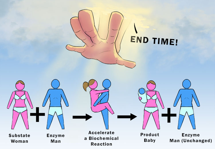 God ends time (enzyme) on this reaction. God says I've seen enough. I can see that enzymes can accelerate a biochemical reaction. A product be produced (a child).  The enzyme is not changed in the reaction and can catalyse further chemical reactions