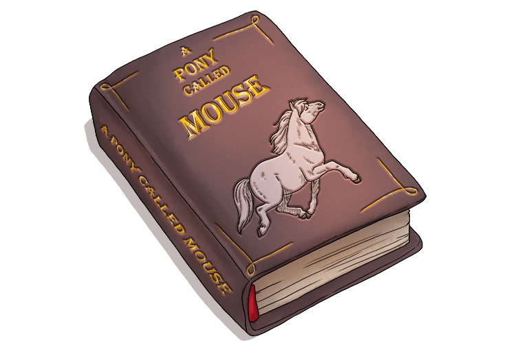 A pony called mouse (eponymous) is the title of the book; guess what the book is about? The title is also the main character.