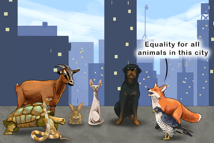 Equality for all the animals in this city (equanimity) this was suggested as all the animals sat calmly in a circle