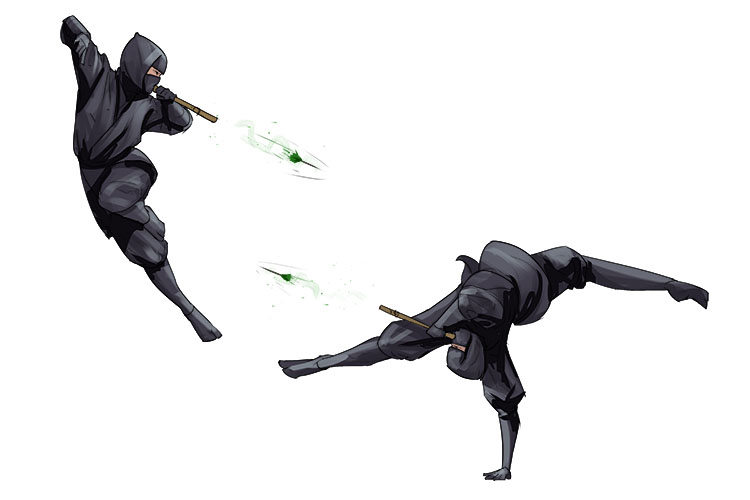 Both ninjas were equipped with poison (equipoise) darts, so the balance of forces was equal