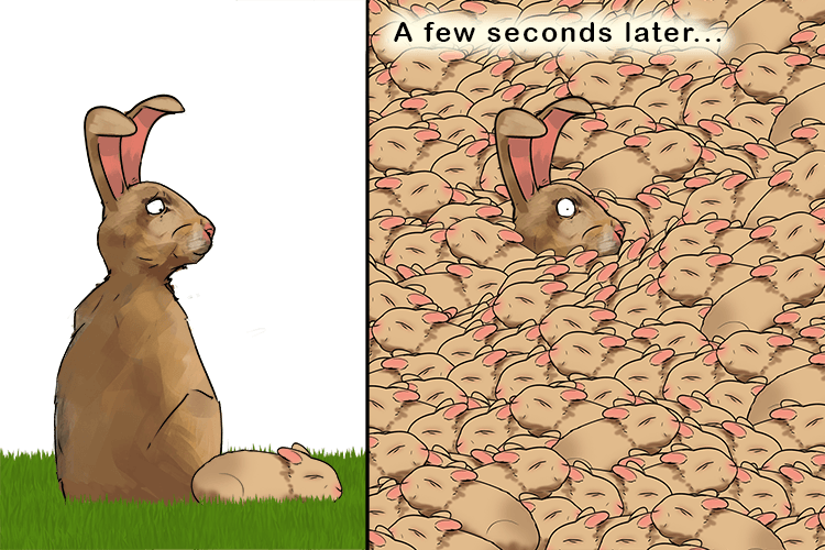 Every few seconds (fecund), this rabbit has another baby. It's highly fertile