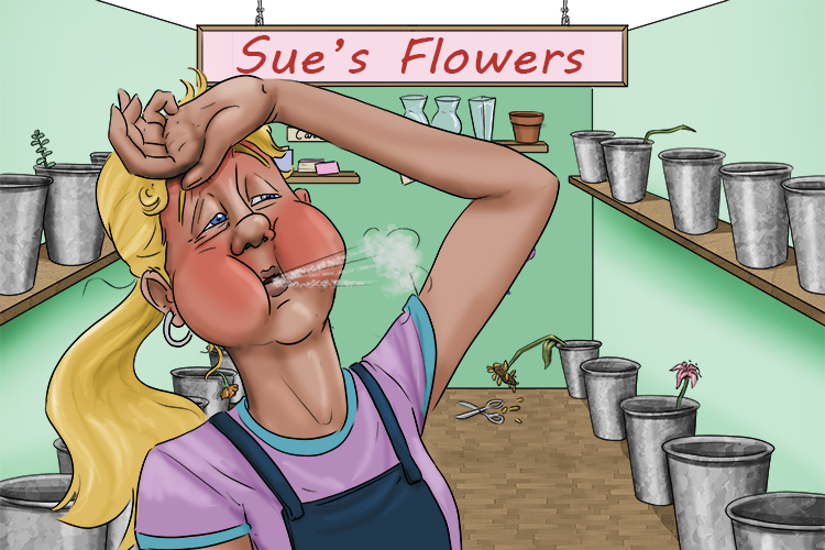 The florist got rid (florid) of all her stock. She sold everything and was red in the face with exhaustion. Now she missed her full shop of flowers, although some would say it was too much decoration. 