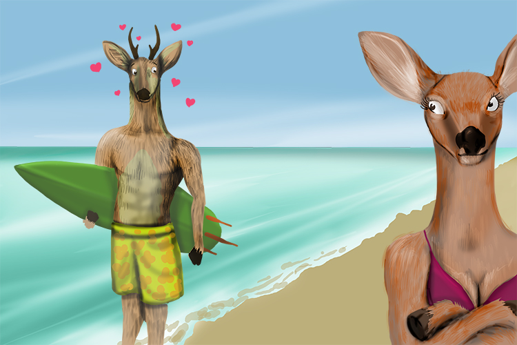 The fawn was on vacation (fornication) and was looking for love but not marriage.
