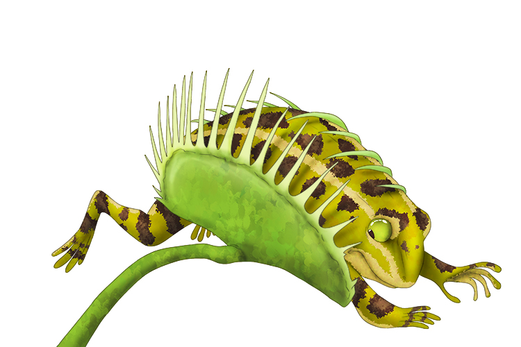 The frog got caught (fraught) in a Venus fly trap. This caused stress for the frog, because he knew it would lead to something unpleasant happening!
