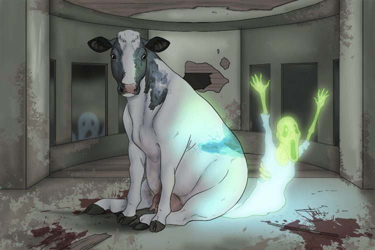 In the haunted house, the ghost launched (haunch) itself at them, but the cow just sat on it with its legs and backside.