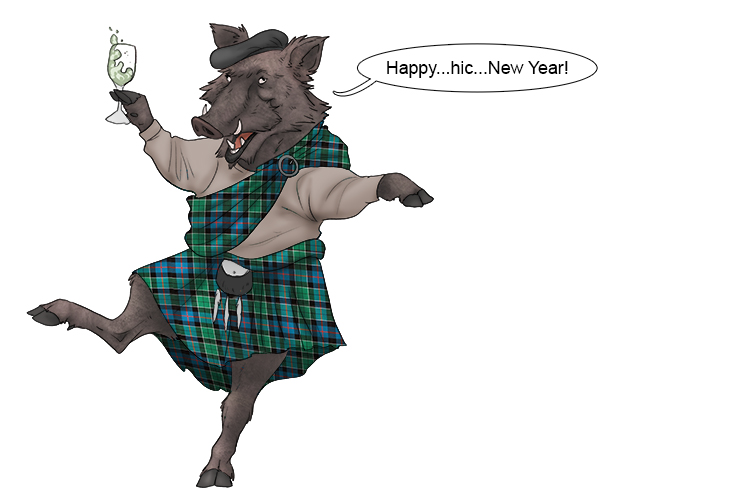 The Scottish hog drank too much chardonnay (Hogmanay) during the New Year's eve celebrations.