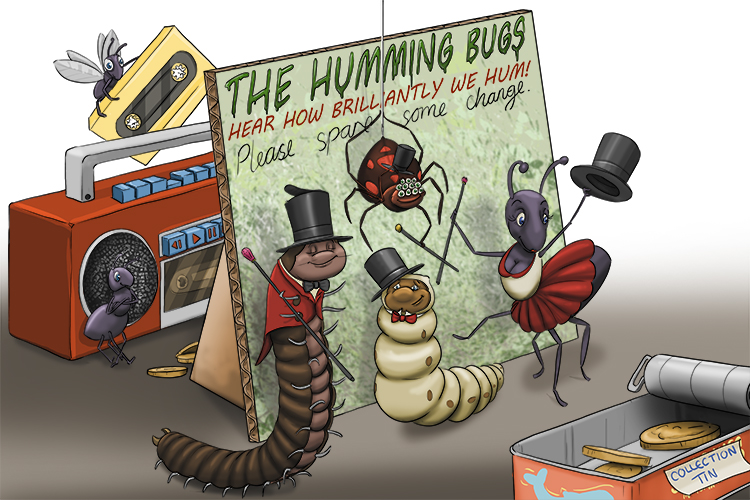 The humming bugs looked harmless, but it was a plan to deceive people into giving them money.