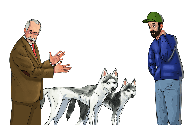 The huskies had very little muscle (hustle), but the salesman persuaded me to buy them, saying they'd pull me along quickly