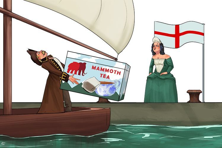 I imported into this nation (importation) a new product, and it was a success