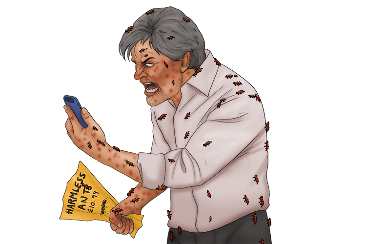 In the advert, it said the ants (inadvertent) were harmless, but they unintentionally sent me venomous ones. 