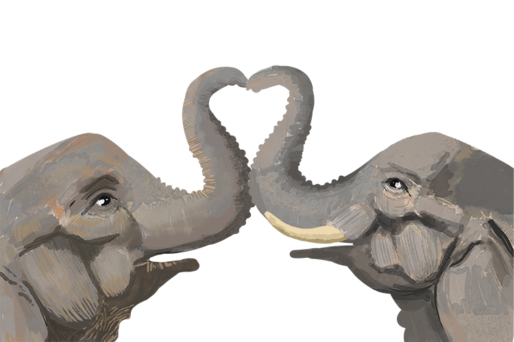 Intimate Mammoth Memory Definition Remember Meaning