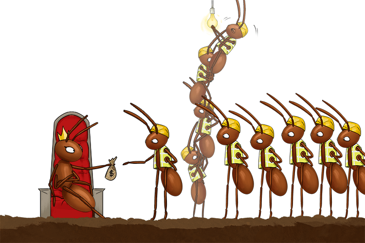 The main ten ants (maintenance) work on keeping the nest in good condition, while the queen gives them money for living expenses