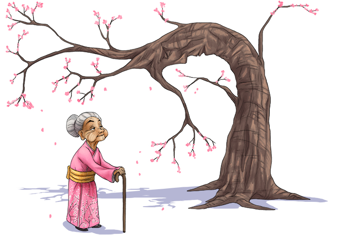 May the tree arc (matriarch) and bow to the woman who is the head of the family.