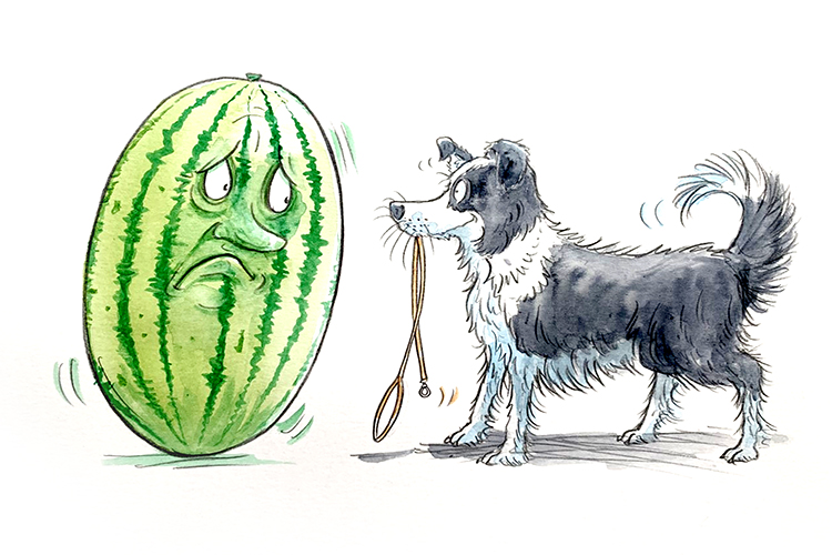 The melon couldn't taker her collie dog (melancholy) out because she had no legs. It made her feel very sad. 