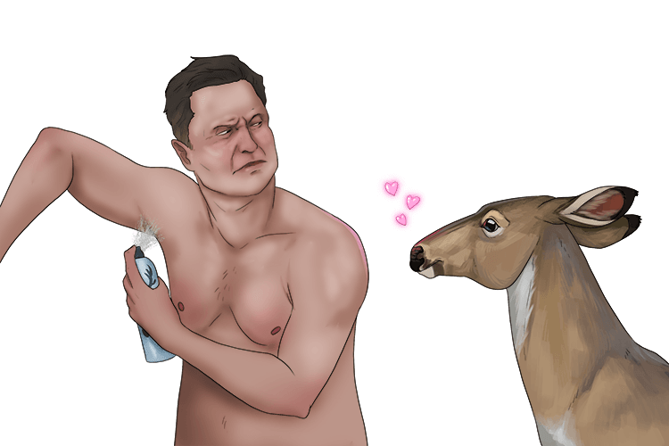 Elon Musk (musk) uses a strong-smelling substance secreted by a male deer to create a perfume.