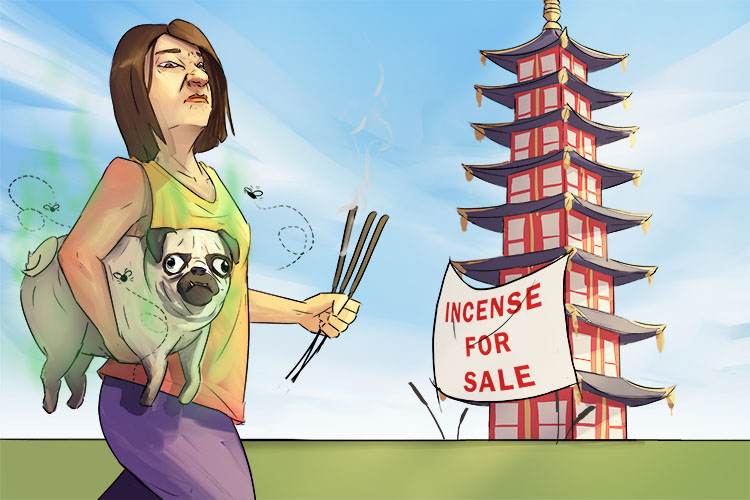 Her pug's odour (pagoda) was so bad, She went to the towering temple to buy incense sticks