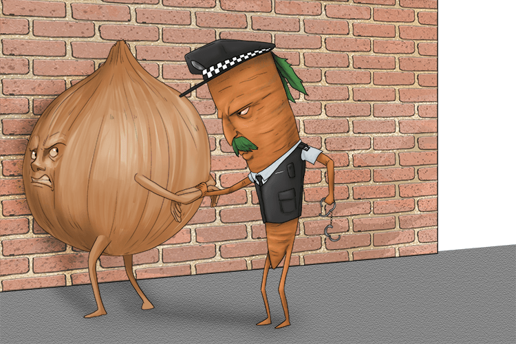 He pinned the onion (pinion) up against the wall, holding its arms to prevent it from moving.