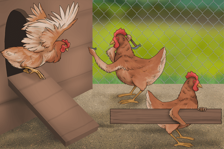 Previously the hens found it futile (prehensile) to build things, but the new generation had grown arms and hands instead of wings so they could grasp and pick things up.