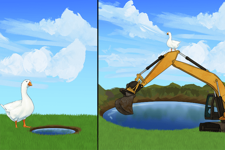 Previously, my pond was small in appearance (preponderance), but once it was dug out it became superior in size to all others