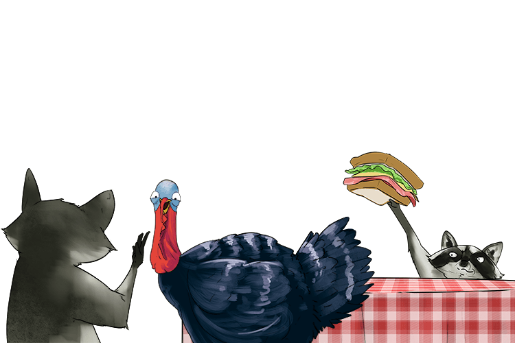 The raccoons conned the turkey (raconteur). One told an interesting and amusing story, while the other stole its food.