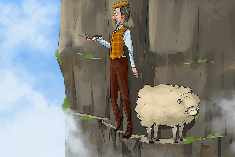 To shear (sheer) a sheep on an extremely steep cliff was nothing other than insane
