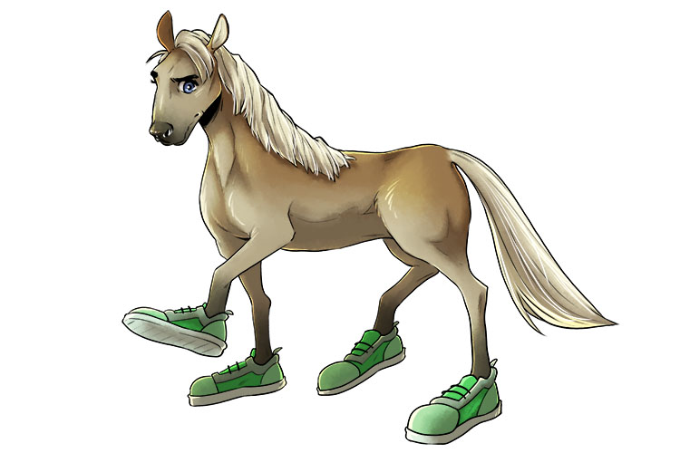 The shoes looked odd (shod) on the horse.