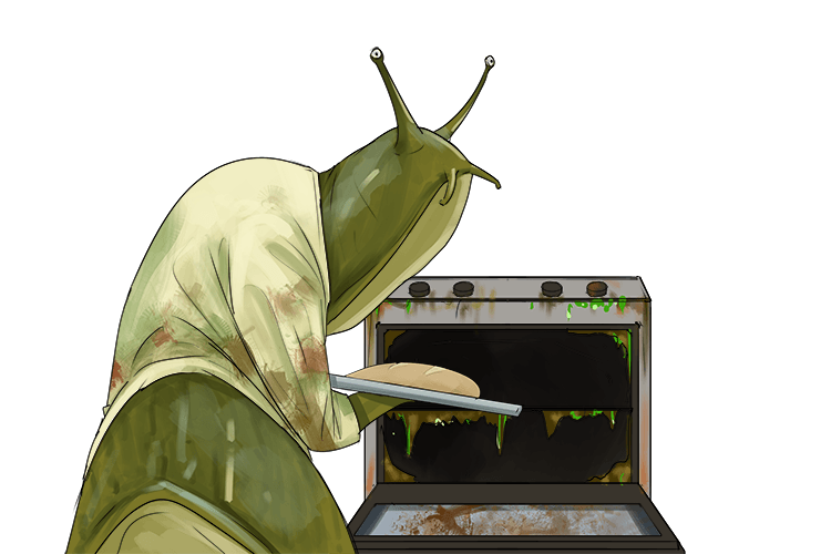 The lazy slug's oven was never cleaned (slovenly), he just left it dirty and untidy