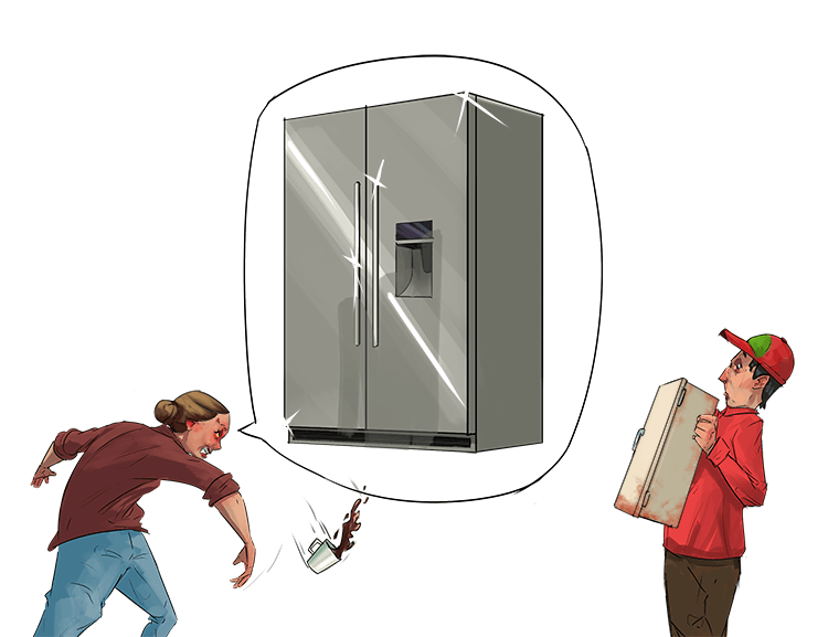 Why do we have to suffer terrible fridges (suffrage)? I vote for bigger fridges like the Americans have