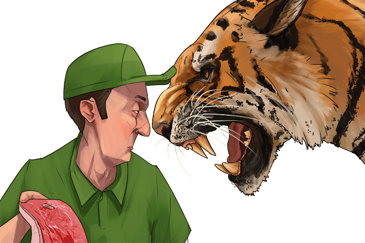 The tiger tried to bite (trite) me, but it was of no interest to me because it was done so often