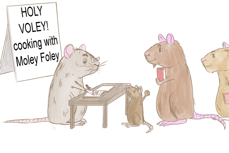 The vole was signing a new edition (voilition) of her cook book – readers had the power to choose whether it became a best seller.