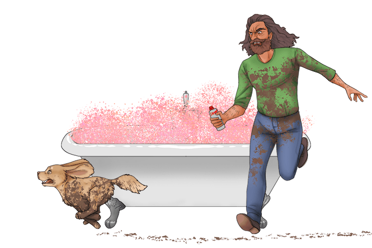 The dog ran away from the bath, and the owner was extremely angry.