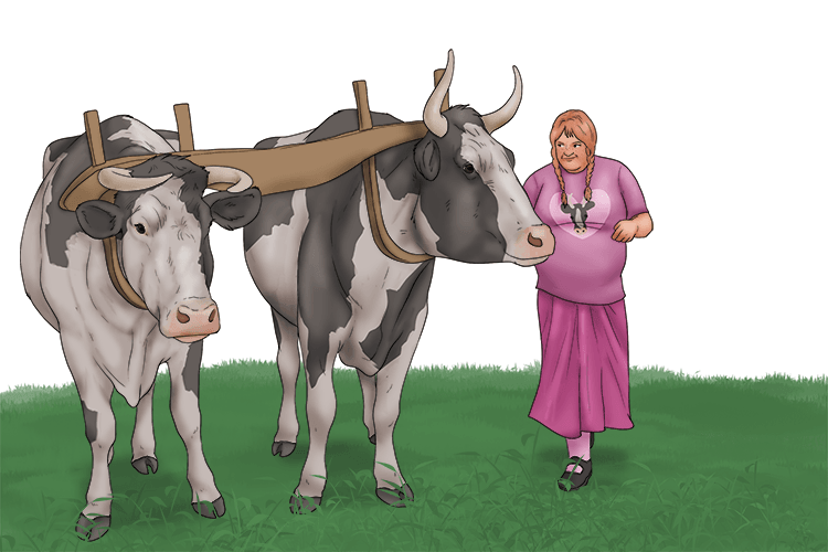 She'd rather yoke all (yokel) her oxen than go to school. She was therefore uneducated and wasn't interested in anything but working in the countryside.