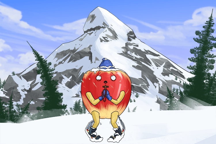 After skiing the apple will pray (après)
