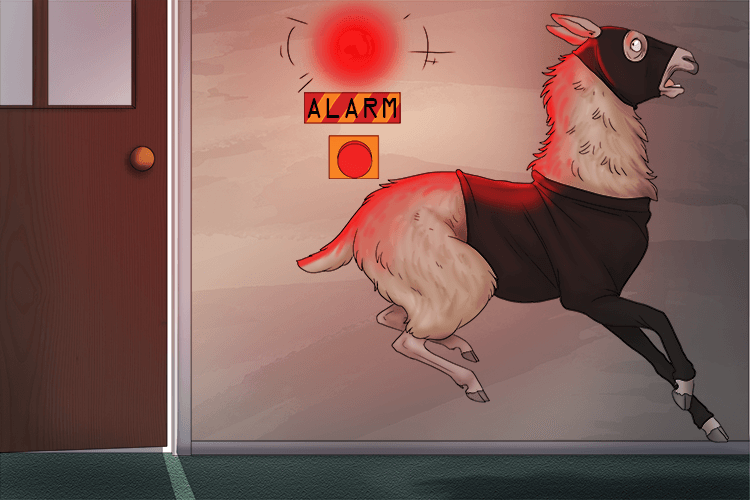 The alarm was set off by a llama (alarme).