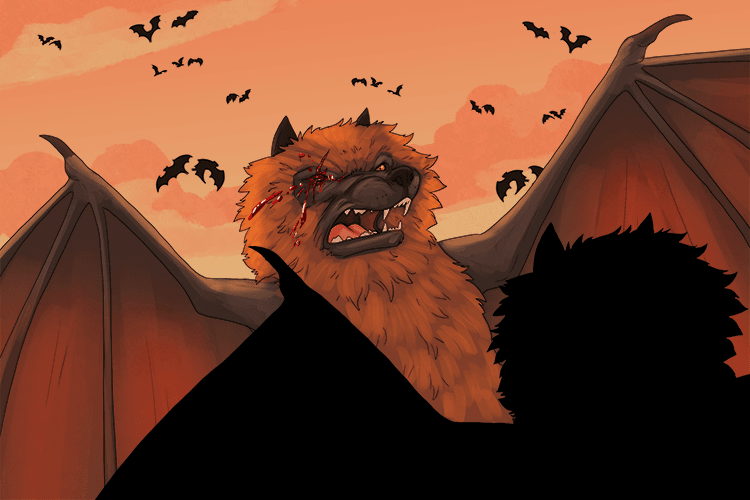 During the battle the bat lost its eye (bataille).