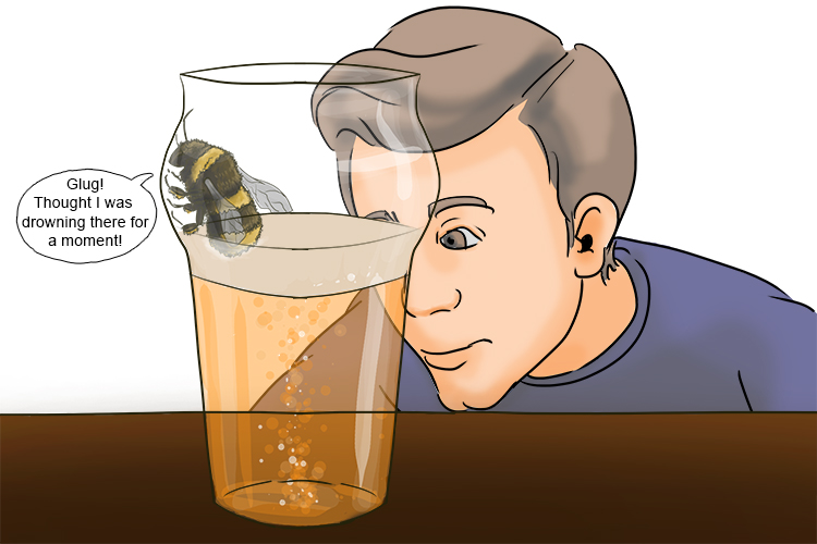 He was dinking his beer when an insect fell into it – it was a bee that quickly came up for air (biére).