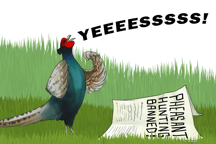 The bird was overjoyed (woh-zoh) when he heard the news